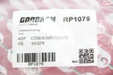 RP1079_3
