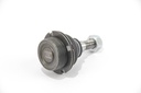 RS2066_3