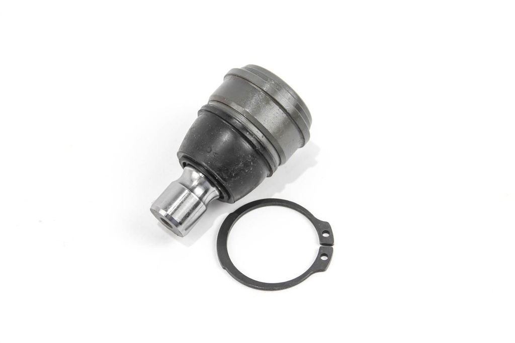 RS2881_2