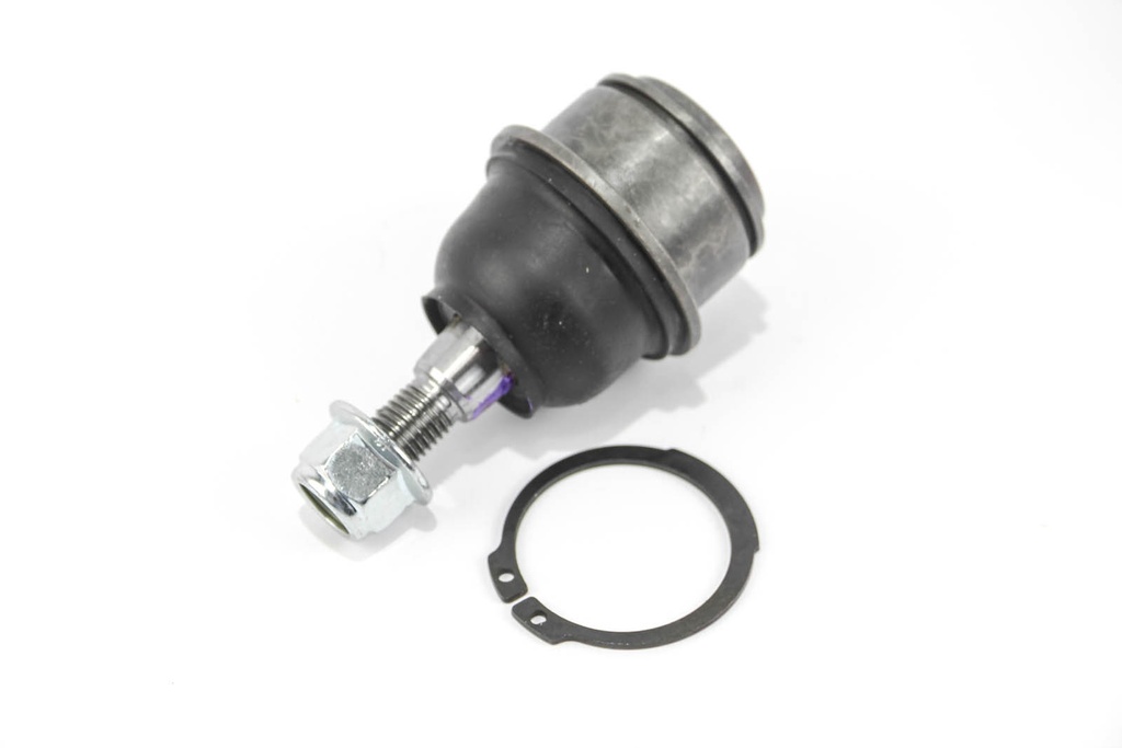 RS4901_2