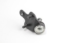 RS5556_3