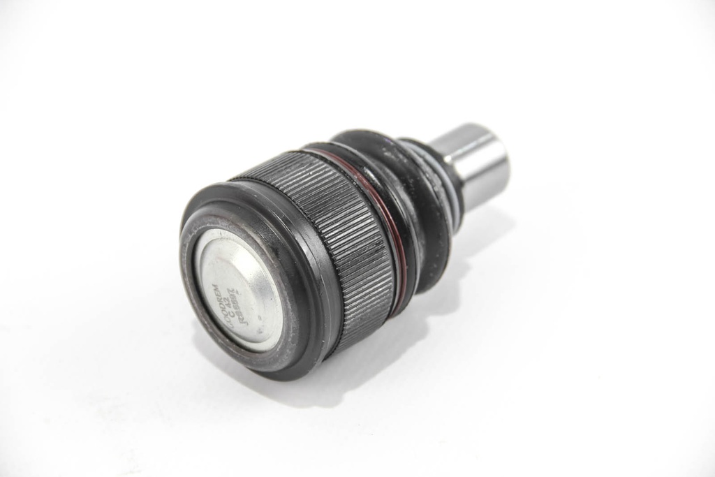 RS5597_2
