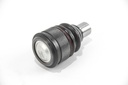 RS5597_2