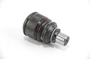 RS5597_3