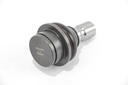 RS6983_3