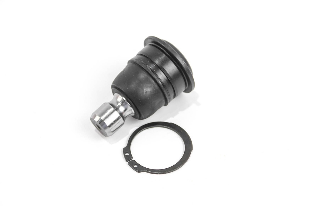 RS7066_2