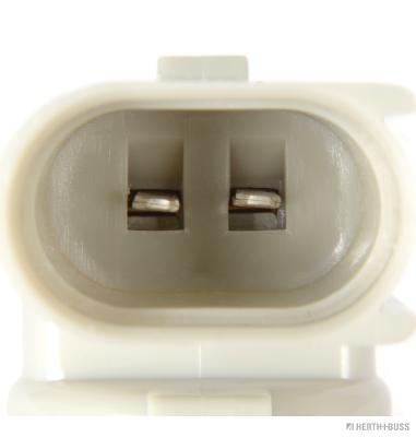 photo_6