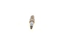 photo_3