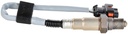 photo_6