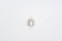 photo_2