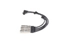 photo_3
