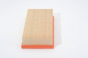 photo_5