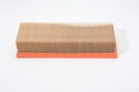 photo_6
