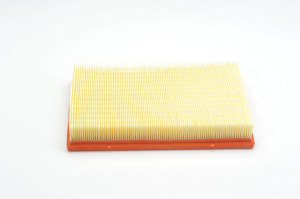 photo_6