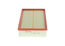 photo_3