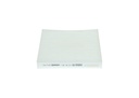 photo_3