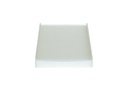 photo_4