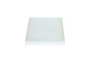 photo_5