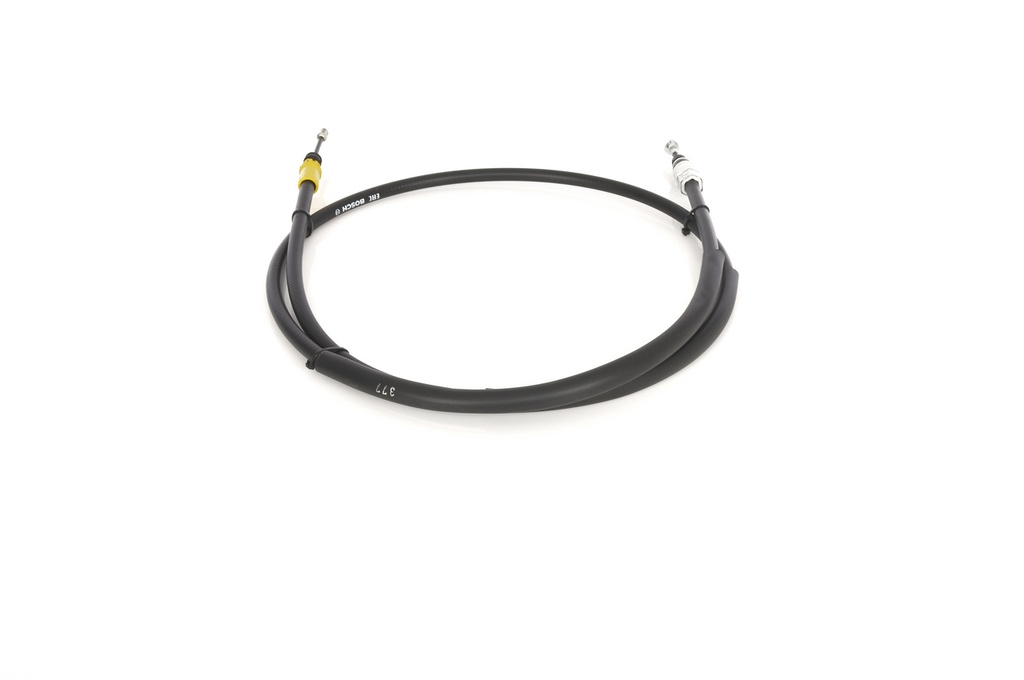 photo_3