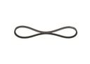 photo_3