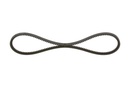 photo_3