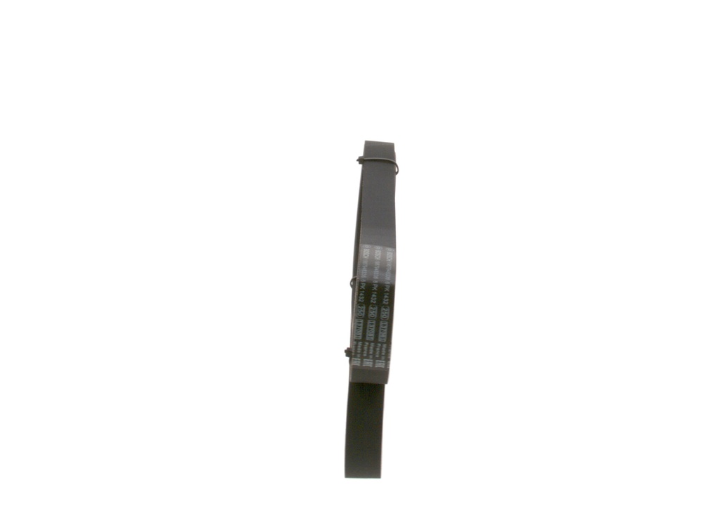 photo_4