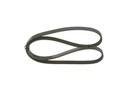 photo_3