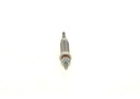 photo_3