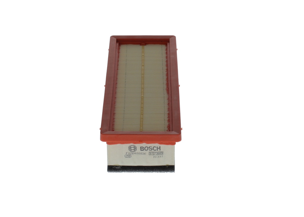photo_4