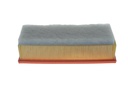 photo_4