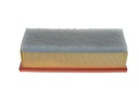 photo_6