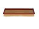 photo_5
