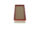 photo_6