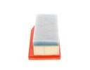 photo_6