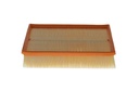 photo_4