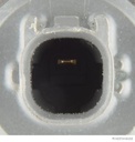 photo_2
