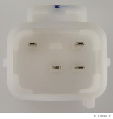 photo_2