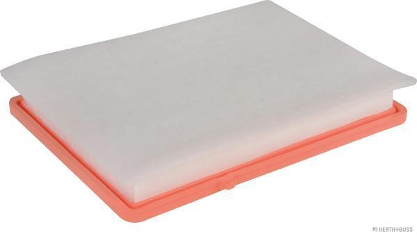 photo_3