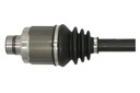 photo_3