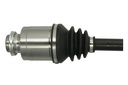 photo_3