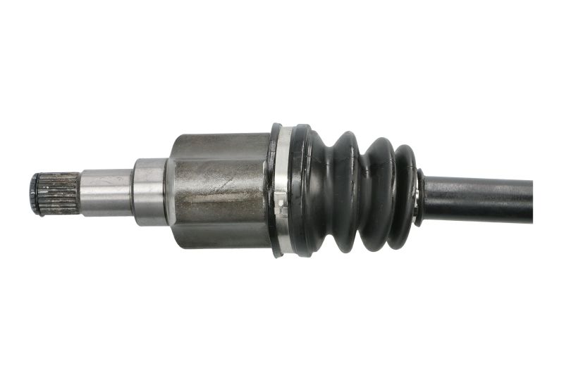 photo_3