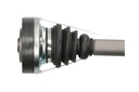 photo_3