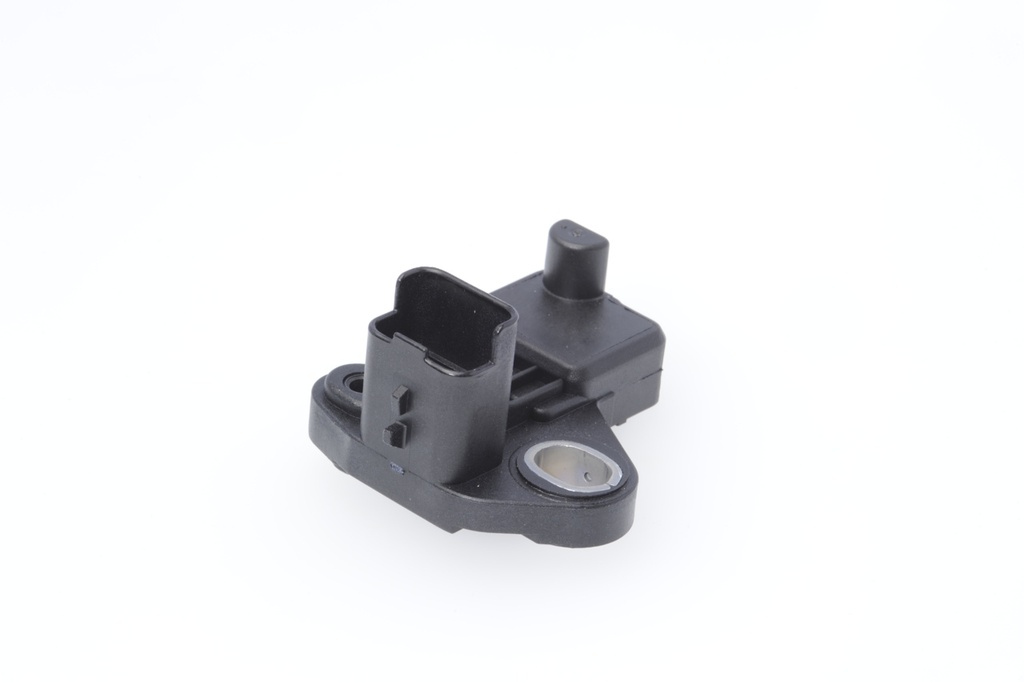 photo_4