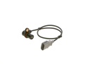 photo_3
