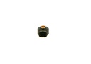 photo_3