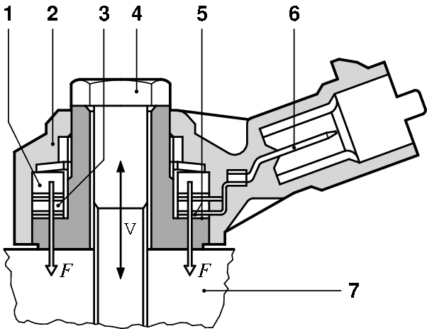 photo_7