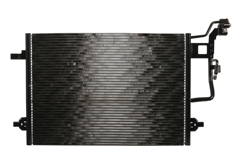 photo_4