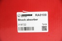 RA0100_4