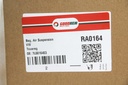 RA0164_4