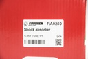 RA0250_4